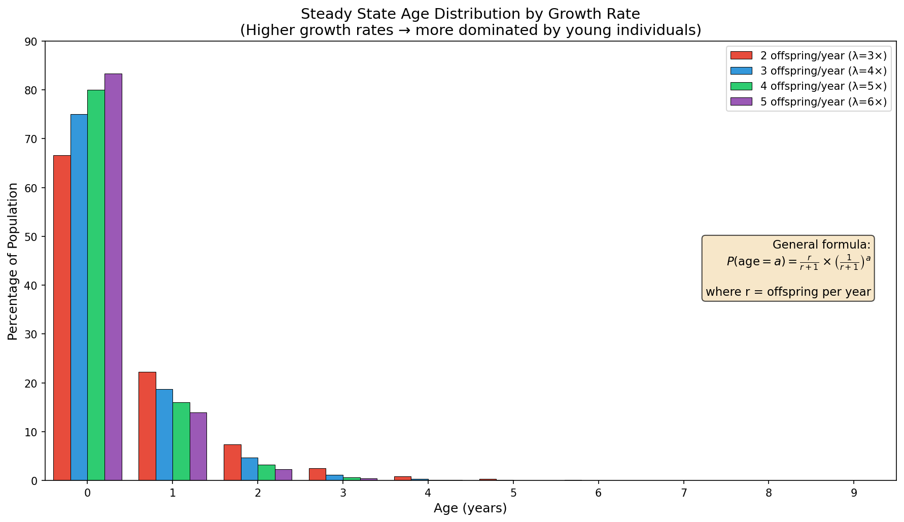 Steady-state age distributions for populations with different division rates