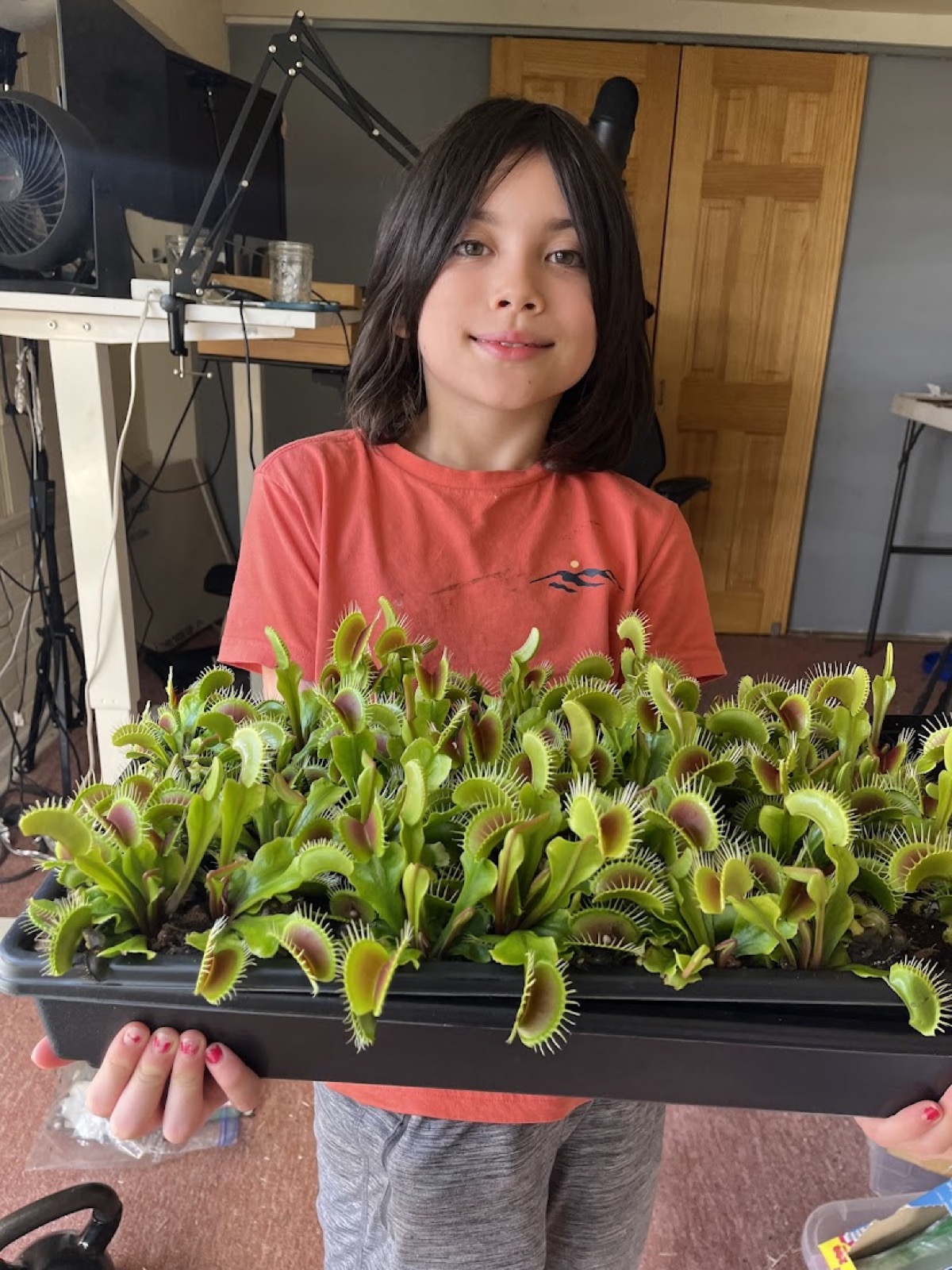 Oliver holding a tray of Venus flytraps