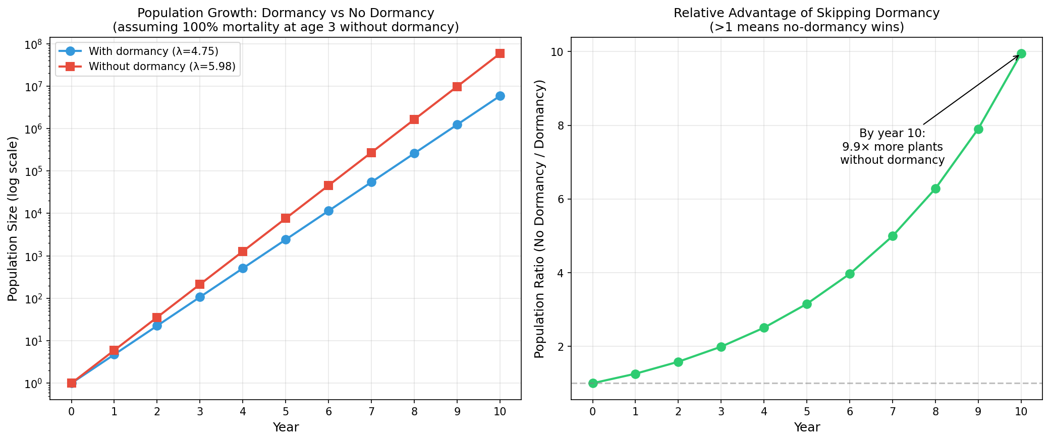 Population growth projections under both strategies